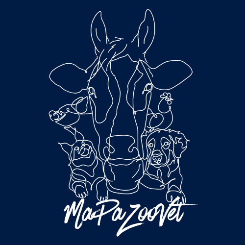 @mapazoovet_2